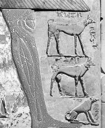  Stele of king Antef II and his favorite dogs 